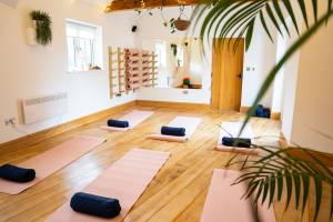 Ecopsia Womens Retreats yoga sister circle studio 13