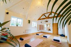 Ecopsia Womens Retreats yoga sister circle studio 14