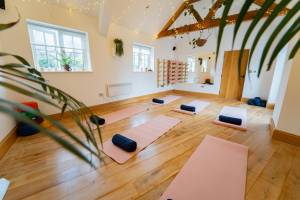 Ecopsia Womens Retreats yoga sister circle studio 17
