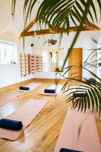 Ecopsia Womens Retreats yoga sister circle studio 18